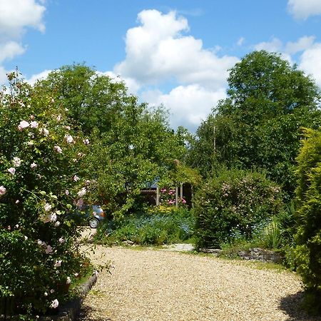 Sleepy Hollow Cottages Somerton  Exterior foto